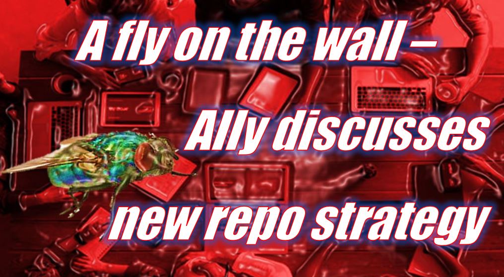A fly on the wall – Ally discusses new repossession strategy