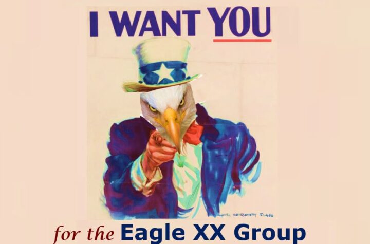 Eagles - Looking For A Few Good Agents