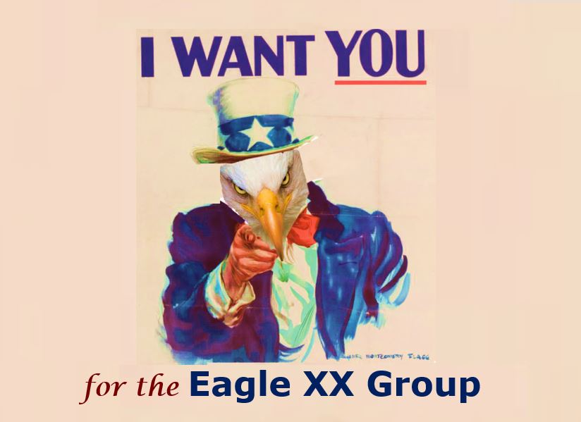 Eagles - Looking For A Few Good Agents