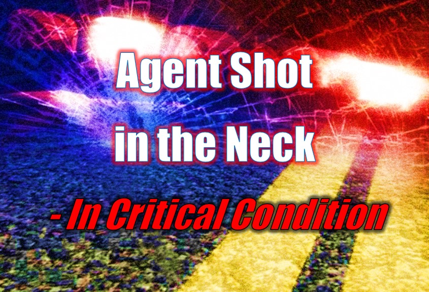 Repossession Agent Shot in the Neck - In Critical Condition