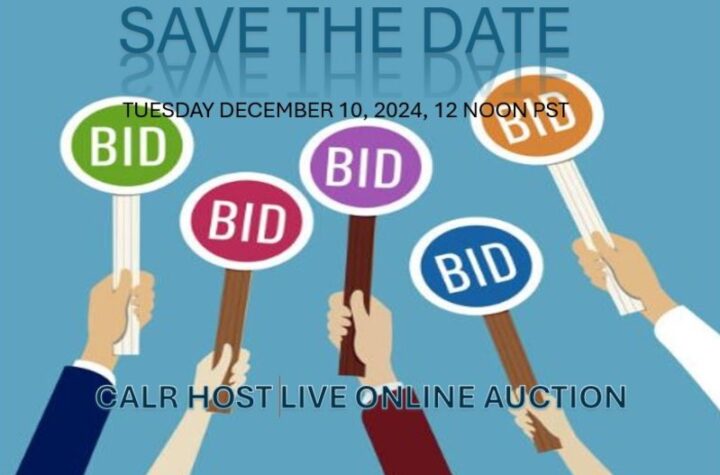 CALR Live Auction for a set of DRN Cameras Tuesday