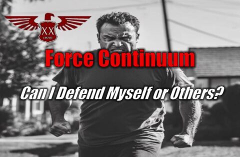 Can I Defend Myself or Others?