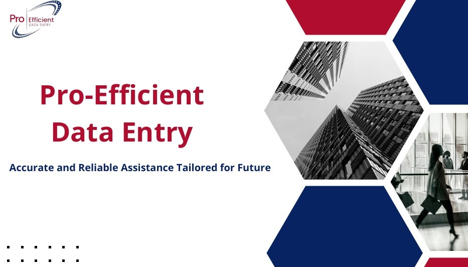 Pro Efficient Data Entry - Recovery Support Services for the Repossession Industry