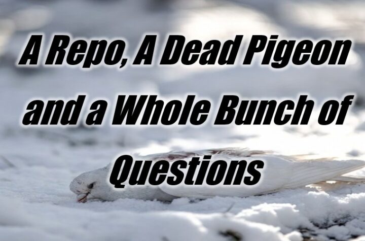 A Repo, A Dead Pigeon and a Whole Bunch of Questions