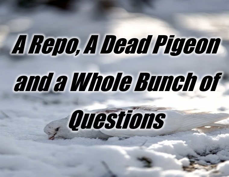A Repo, A Dead Pigeon and a Whole Bunch of Questions