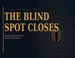 The Blind Spot Closes - Forwarding Intermediary Liability After Montgomery v. Caribe Transport II