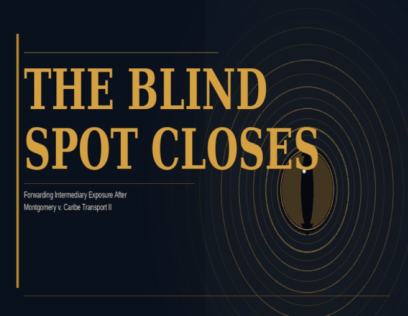 The Blind Spot Closes - Forwarding Intermediary Liability After Montgomery v. Caribe Transport II